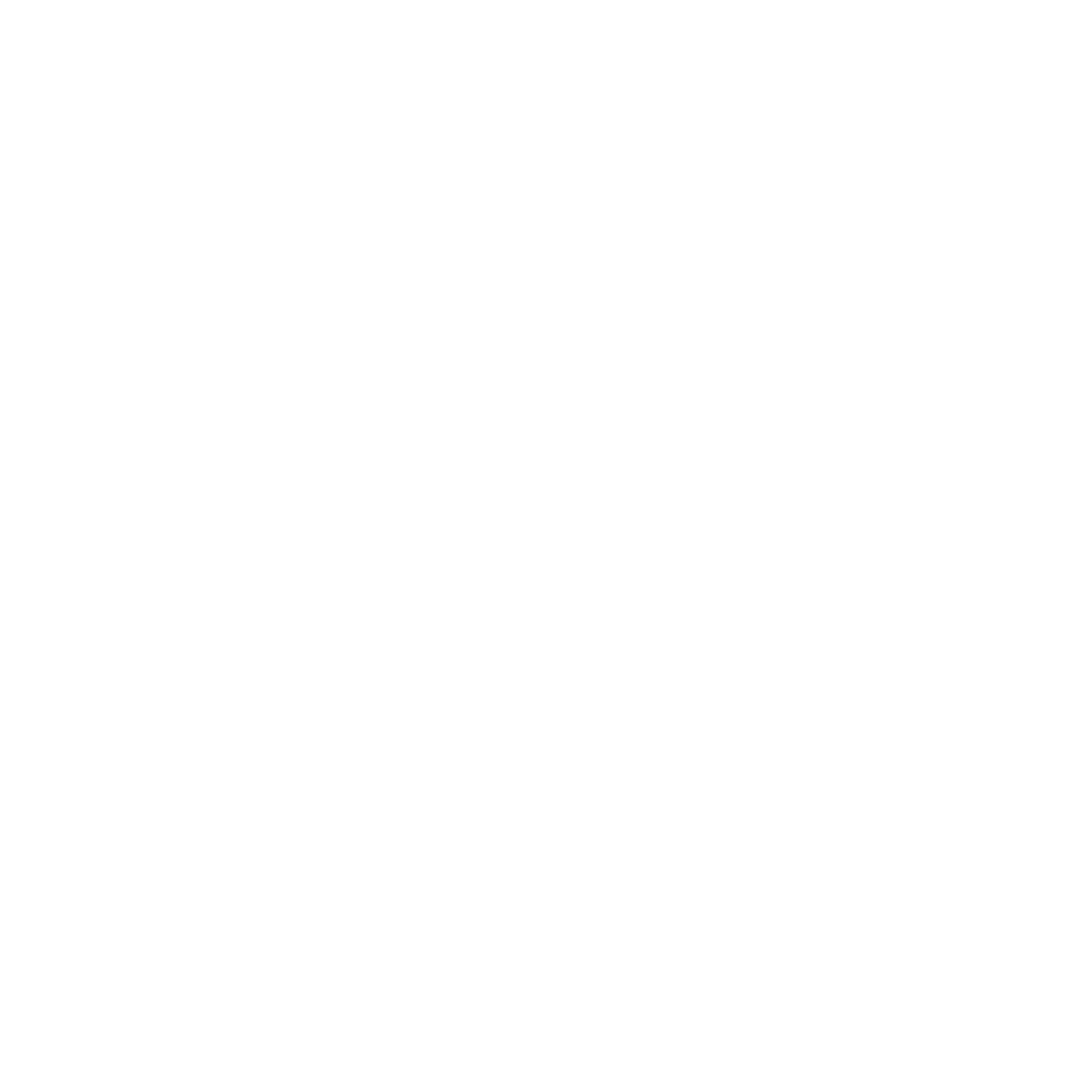 Ngan Vu